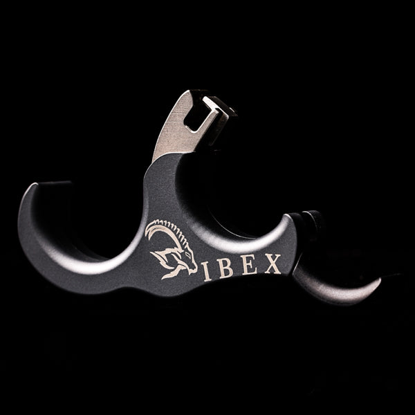 IBEX - Hinge